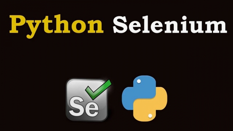 Программа для накрутки ПФ в Яндекс.Картах на Python Selenium