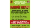 дезинсекция дезинфекция дератизация