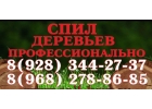 Спил деревьев профессионально